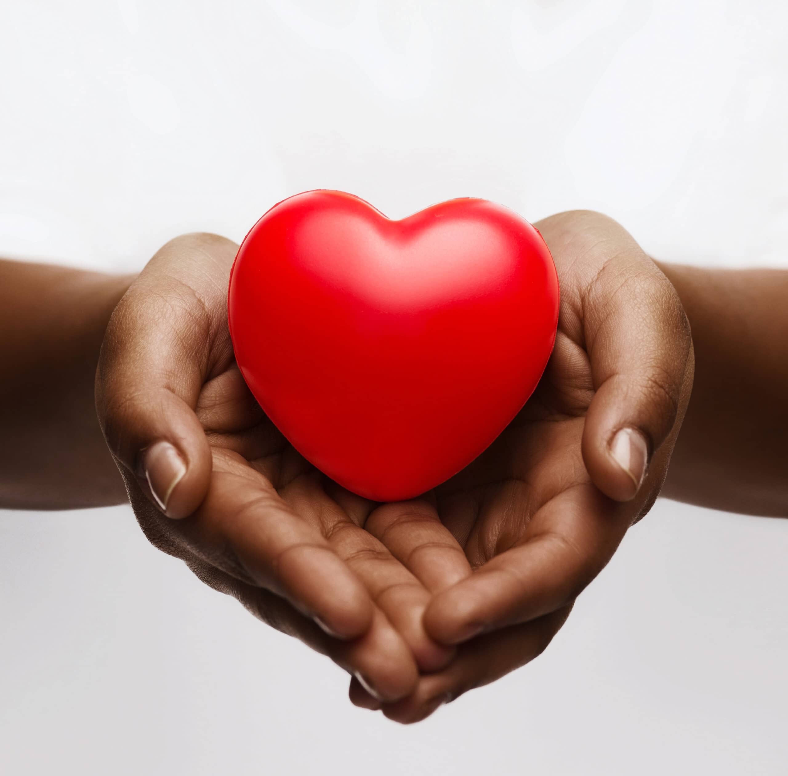 Photo of hands holding a red heart representing the trauma-informed online course.